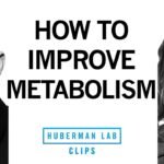 Simple Steps to Improve Your Metabolism | Dr. Casey Means & Dr. Andrew Huberman