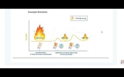 Unicity Feel Great System Explained by Mohamed Fazal