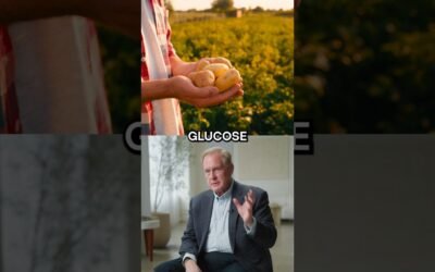 Why Sugar Is Problematic for Metabolic Health | Dr. Robert Lustig