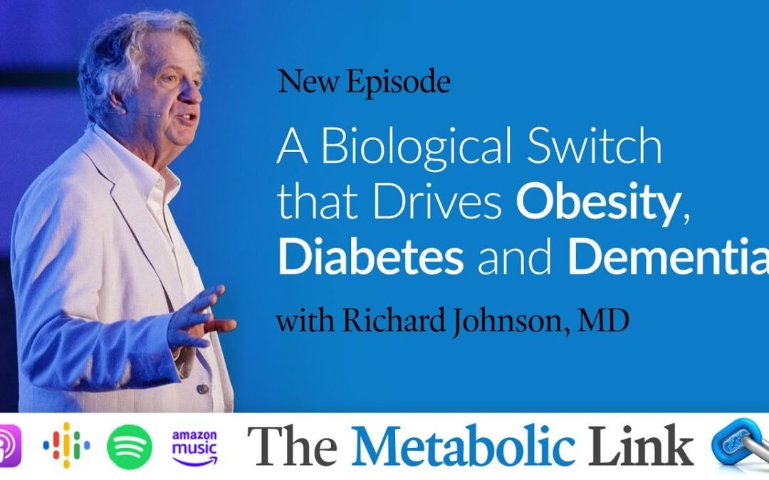 A Biological Switch that Drives Obesity, Diabetes, and Dementia | The Metabolic Link Ep. 39