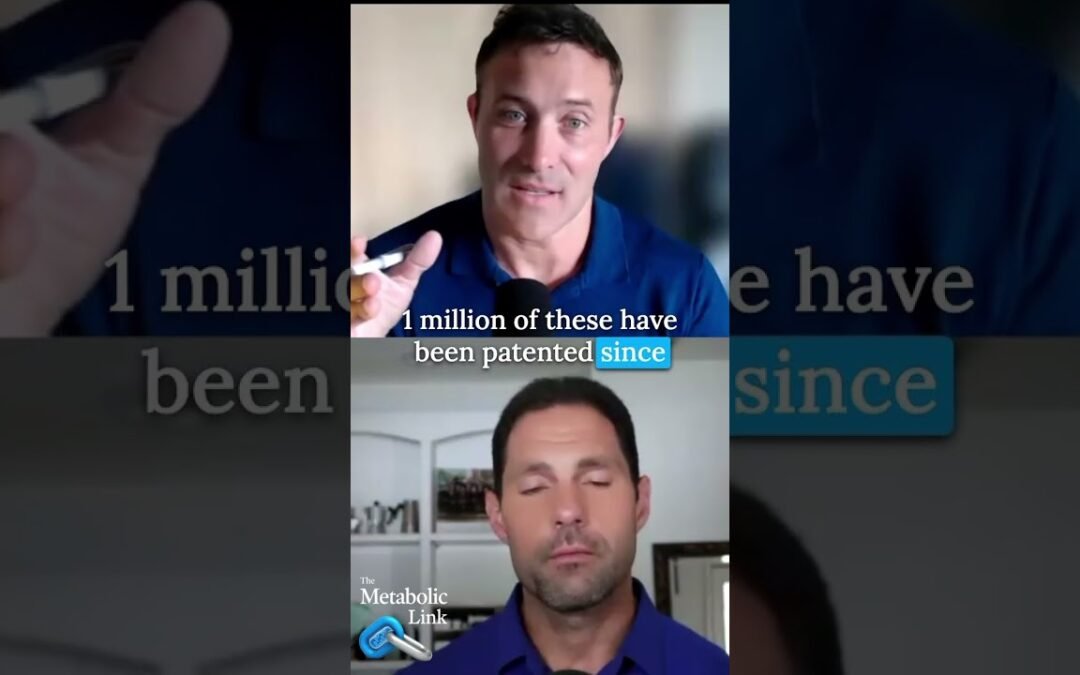 How does animal-based ketogenic nutrition impact metabolic health?