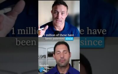 How does animal-based ketogenic nutrition impact metabolic health?