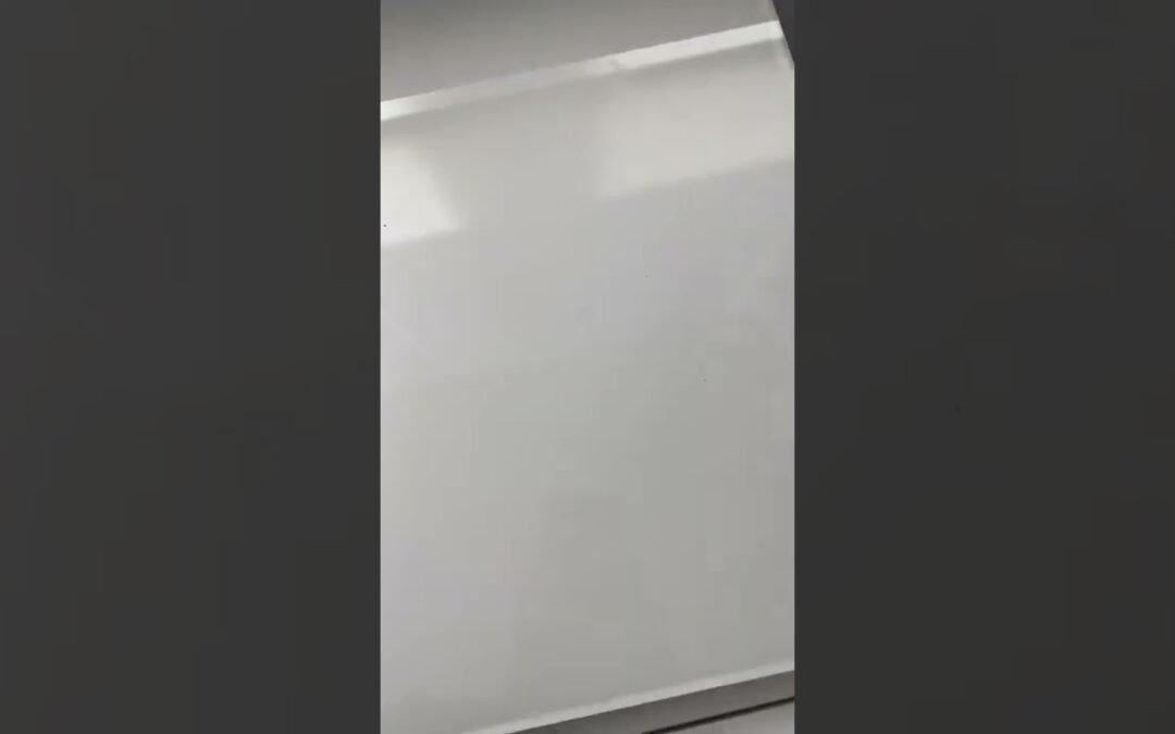 How the Feel Great System helps Weight Loss | Rav Malik