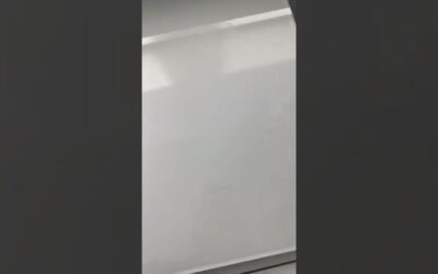 How the Feel Great System helps Weight Loss | Rav Malik