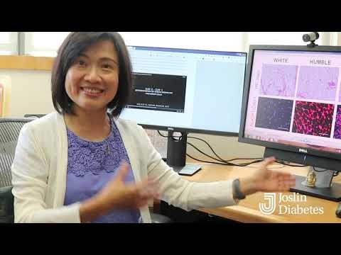 Joslin research: HUMBLE cells can improve metabolic health
