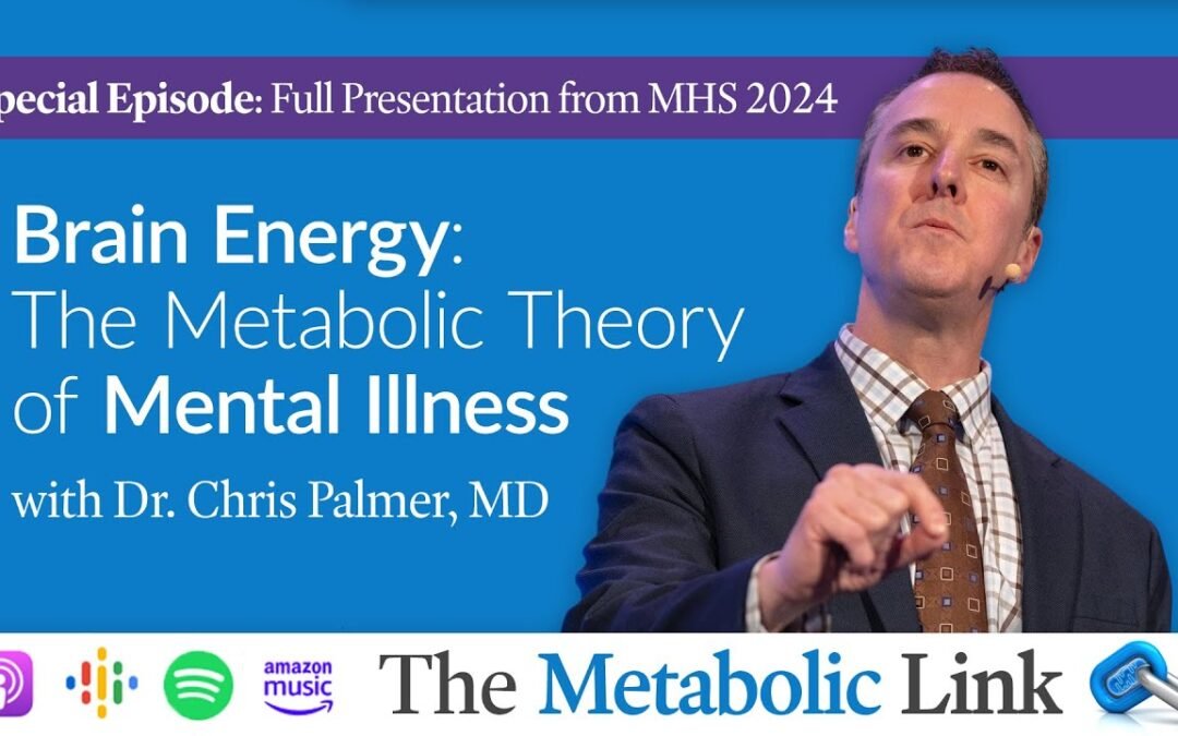 Dr. Chris Palmer | Brain Energy: The Metabolic Theory of Mental Illness | The Metabolic Link Ep. 47