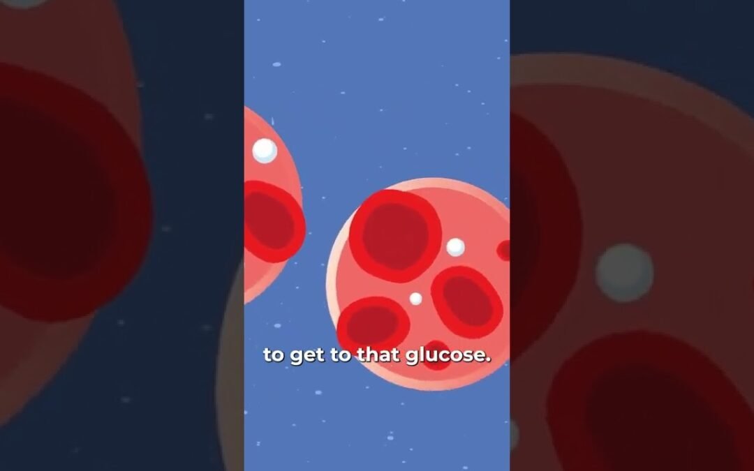 What is Metabolic Health?