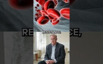 Why Insulin Resistance Creates a Vicious Cycle of Fat Gain | Dr. Robert Lustig