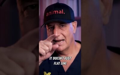 Carnivore Diet  Metabolic Health, Insulin & Hidden Risks