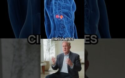 How Cortisol, the Stress Hormone, Impacts Blood Sugar and Health | Dr. Robert Lustig