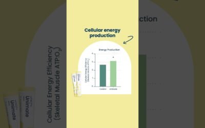 Unimate & Yerba Mate: Natural Support for GLP-1 and Metabolic Health