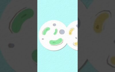 Is OMAD with Carnivore the Ultimate Solution for Metabolic Health?