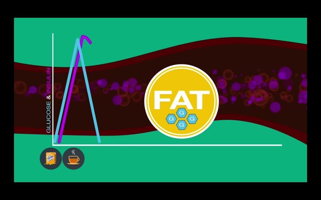 The Feel Great System | Christie Fit