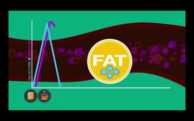 The Feel Great System | Christie Fit