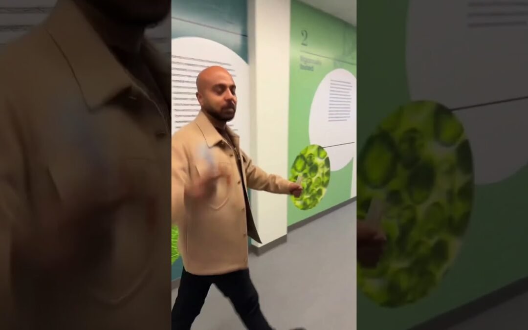 Unicity Balance vs Regular Fiber by Rav Malik   Feel Great System Review