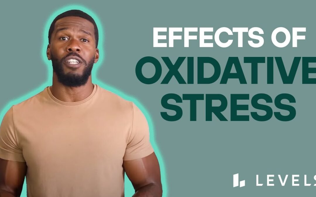 How Oxidative STRESS Affects Metabolic Health, and How Can Antioxidants Help REDUCE Imbalances