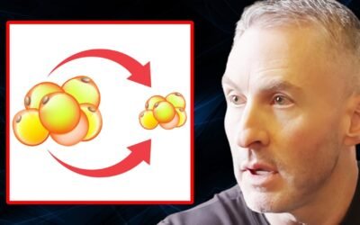 How to SHRINK Fat Cells & Fix Your Metabolic Health | Dr. Ted Naiman
