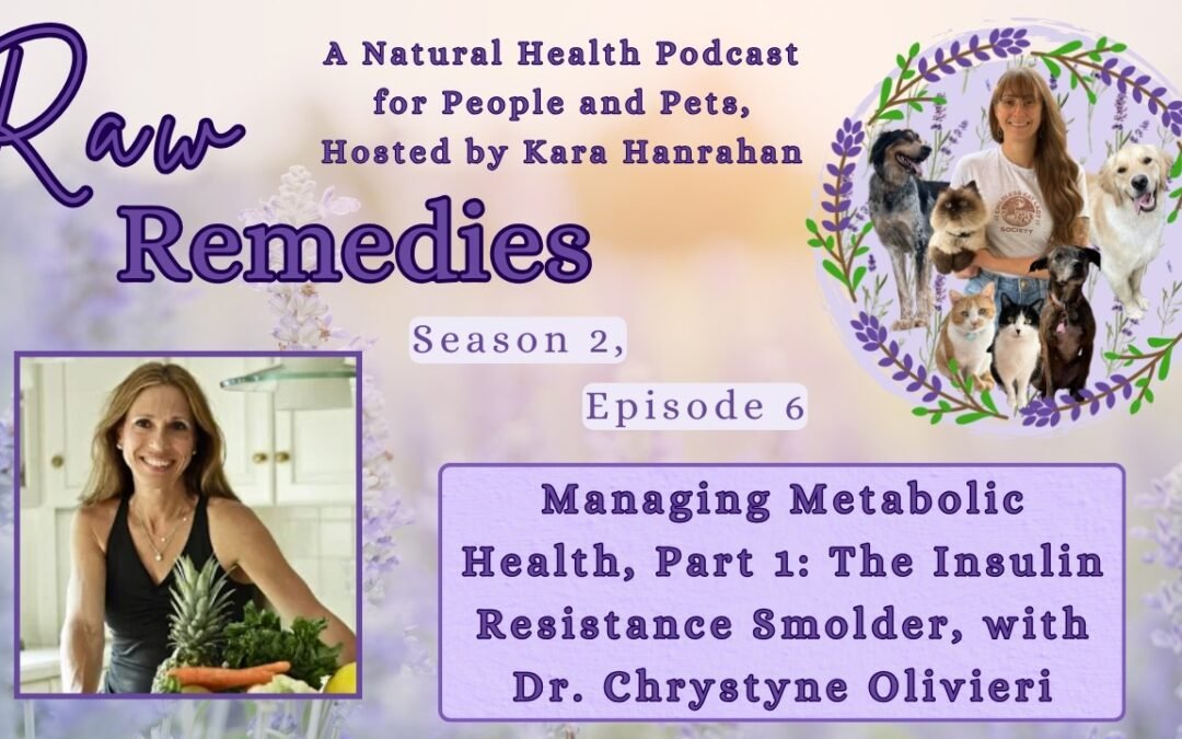 Managing Metabolic Health, Part 1: The Insulin Resistance Smolder, with Dr. Chrystyne Olivieri