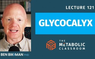 121: Why the Glycocalyx is a Hidden Key to Metabolic Health & How to Protect It with Dr. Ben Bikman