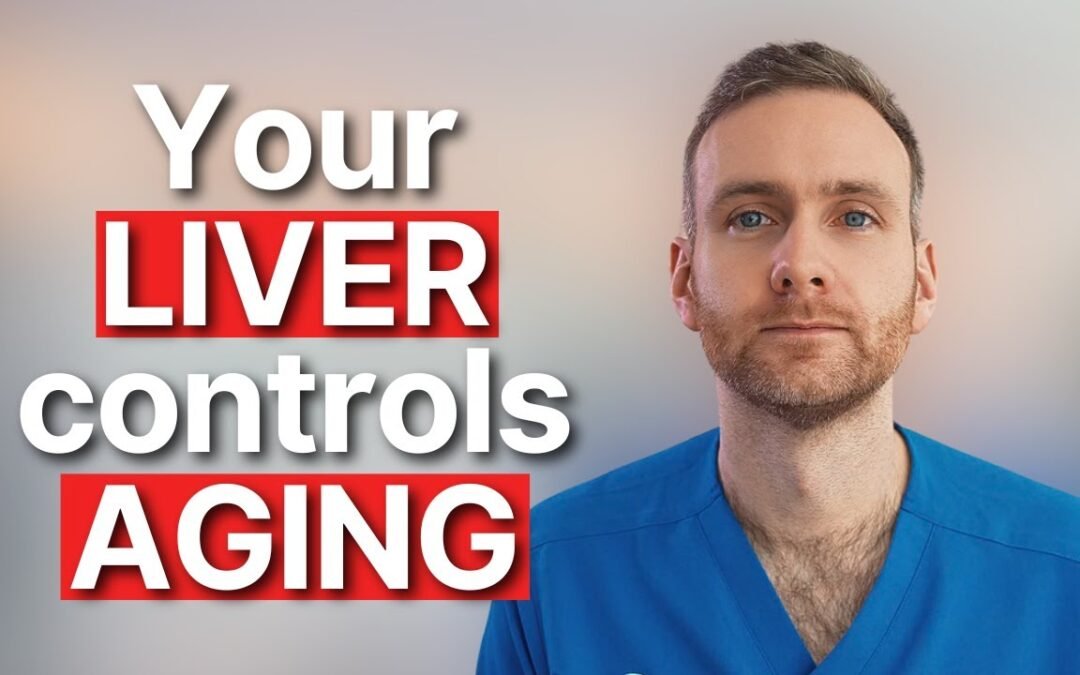 Your Liver Controls How Fast You Age (The Hidden Cause of Metabolic Ageing)